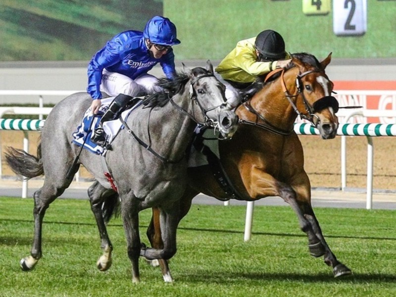 Review: Rebel’s Romance Wins UAE 2000 Guineas Trial Image 1